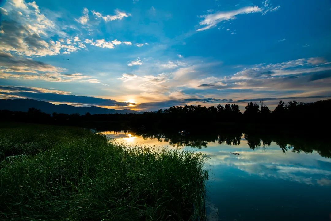 1672006555690430.jpg 1672006555690430.jpg