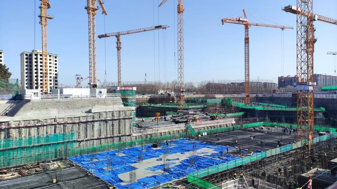 1679302109864829.jpg 1679302109864829.jpg